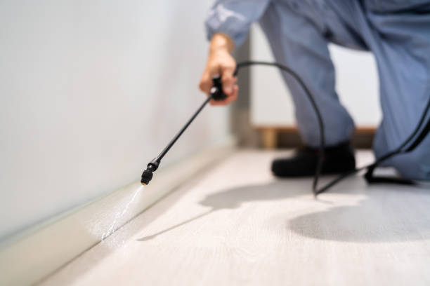 Licensed Pest Control service in New Canaan, CT - Show Me Pest Control