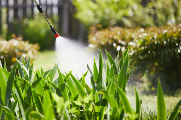 Tamper-Resistant Bait Stations for Rodents in New Canaan