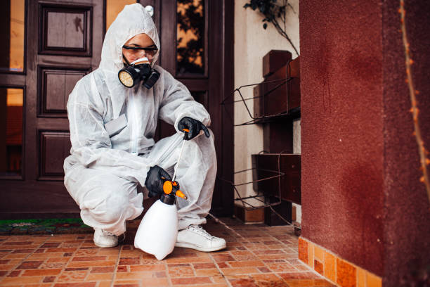 Attic and Crawl Space Rodent Treatment in New Canaan