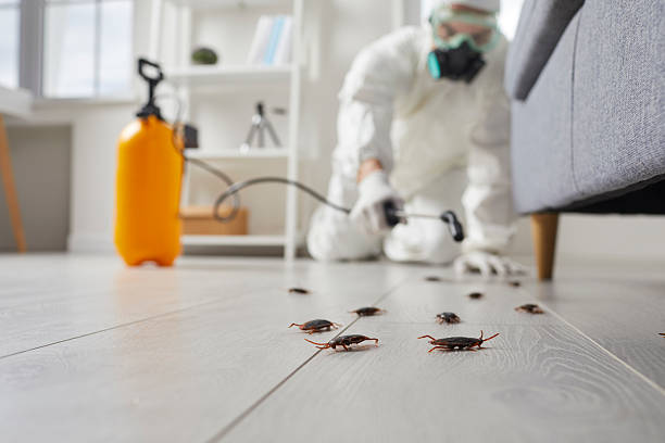 Commercial Rodent Management in New Canaan